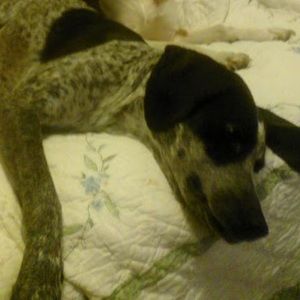 Meet your Posher, Ki